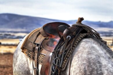 gc2ddce7b27202e1ebd606ac265888e3deed9d5bb1113096f2e0d5a859218e4d9b1a91e1fd1fdd94eaaac18272d63af1f_1280